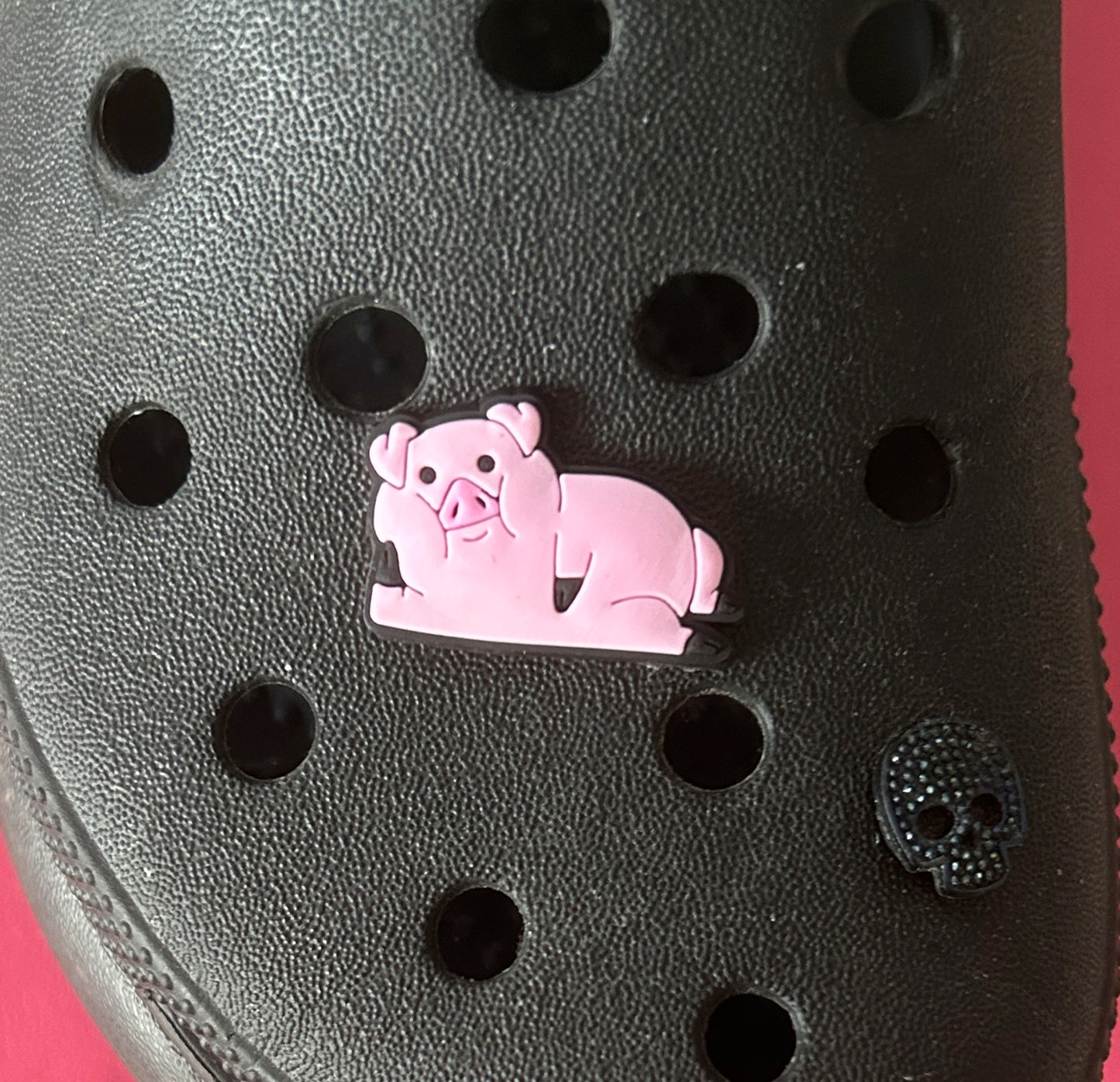 Posing sexy pig croc charm.