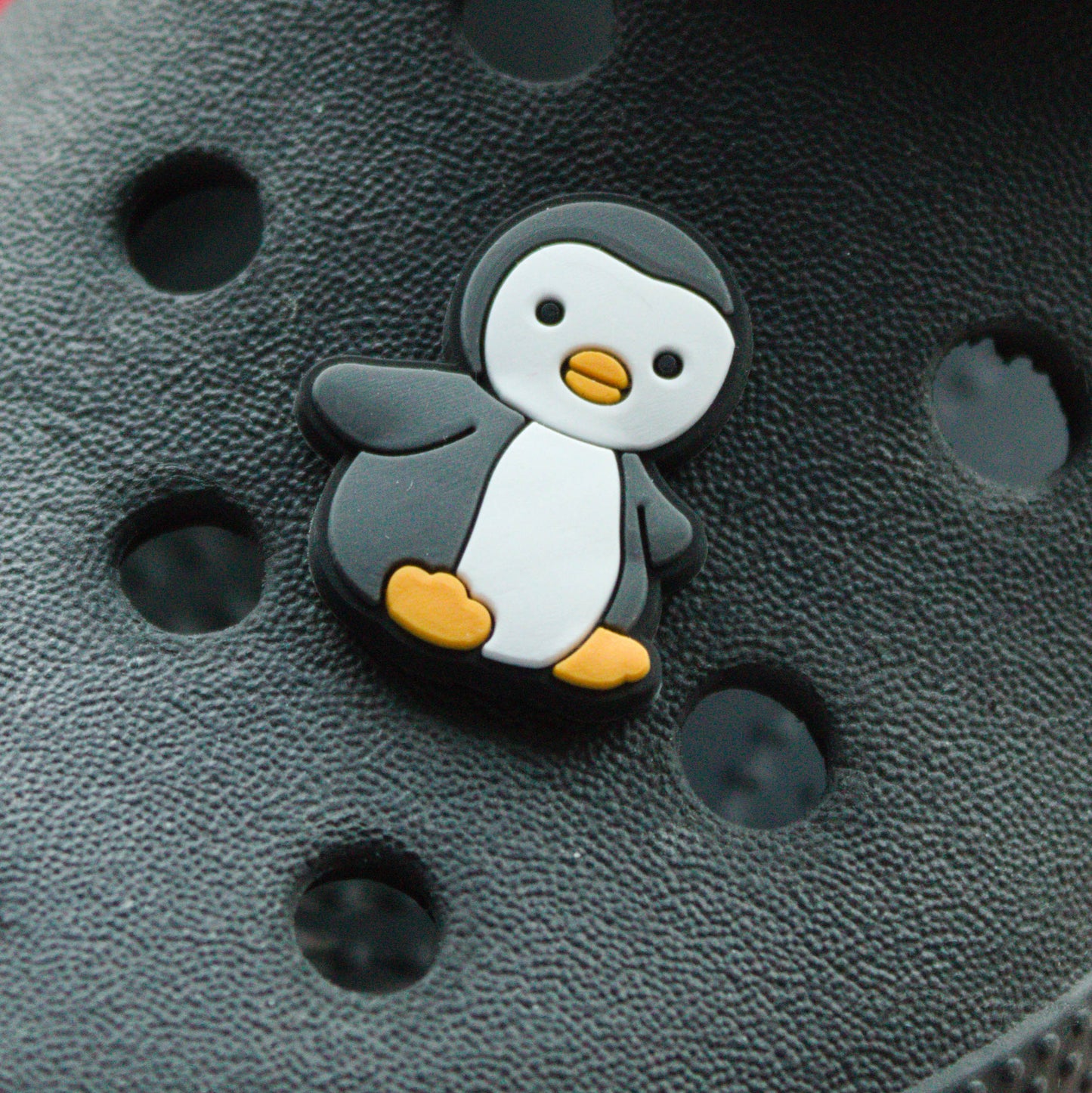 Black and White cute Penguin croc like shoe charm. Shown on a black croc shoe.