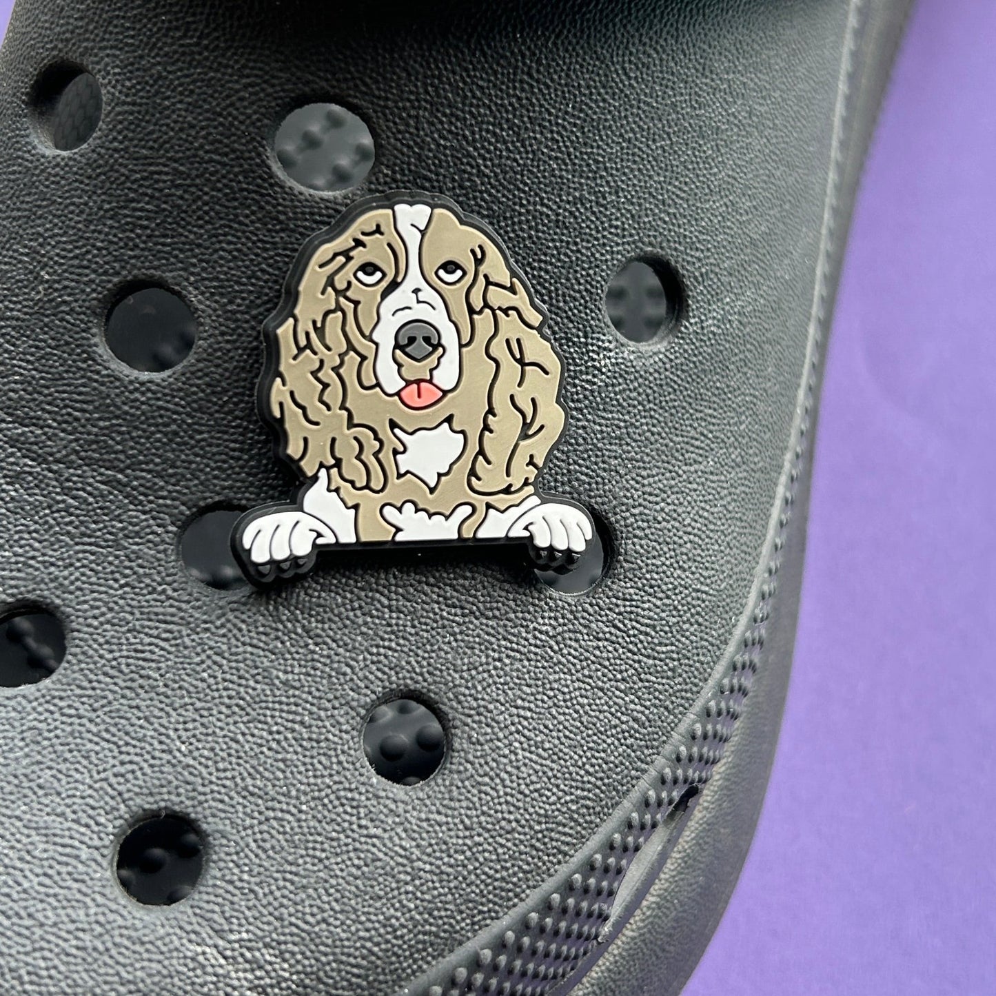 Springer spaniel dog croc charm.