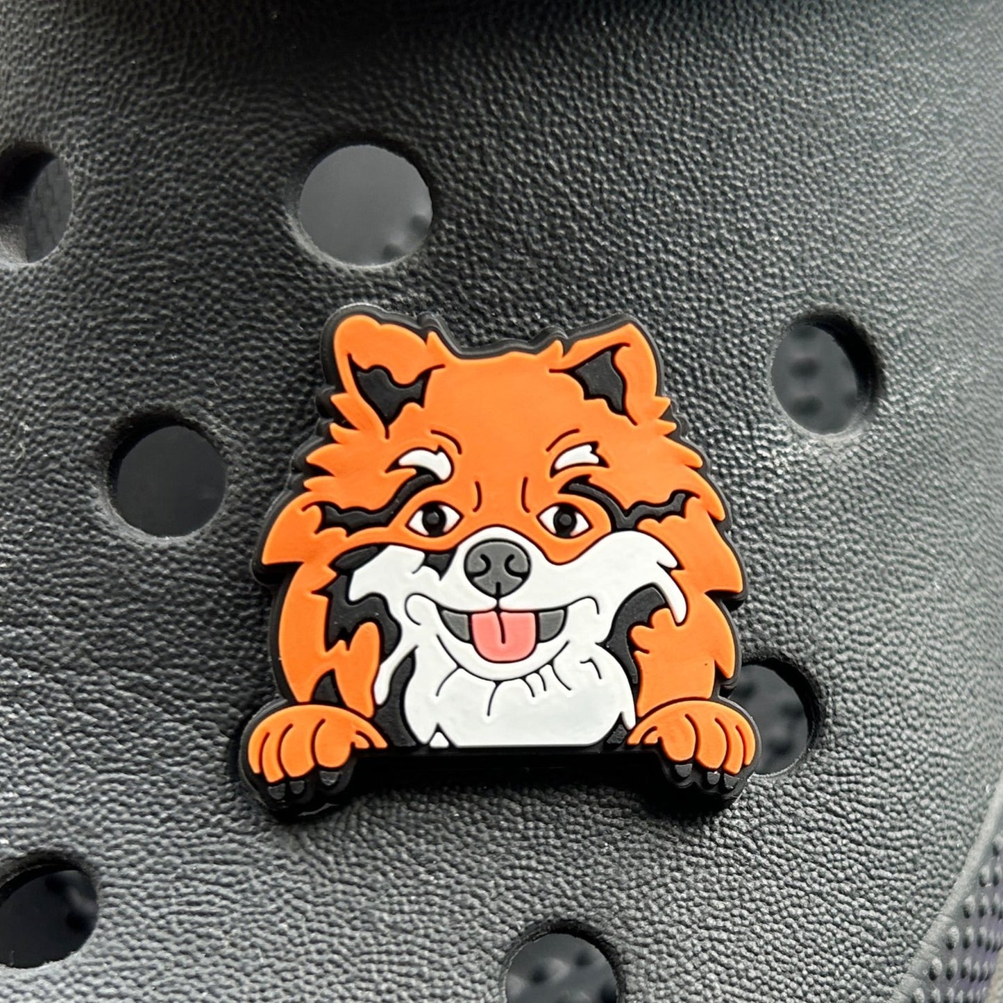 Ginger Pomeranian Dog croc charm.
