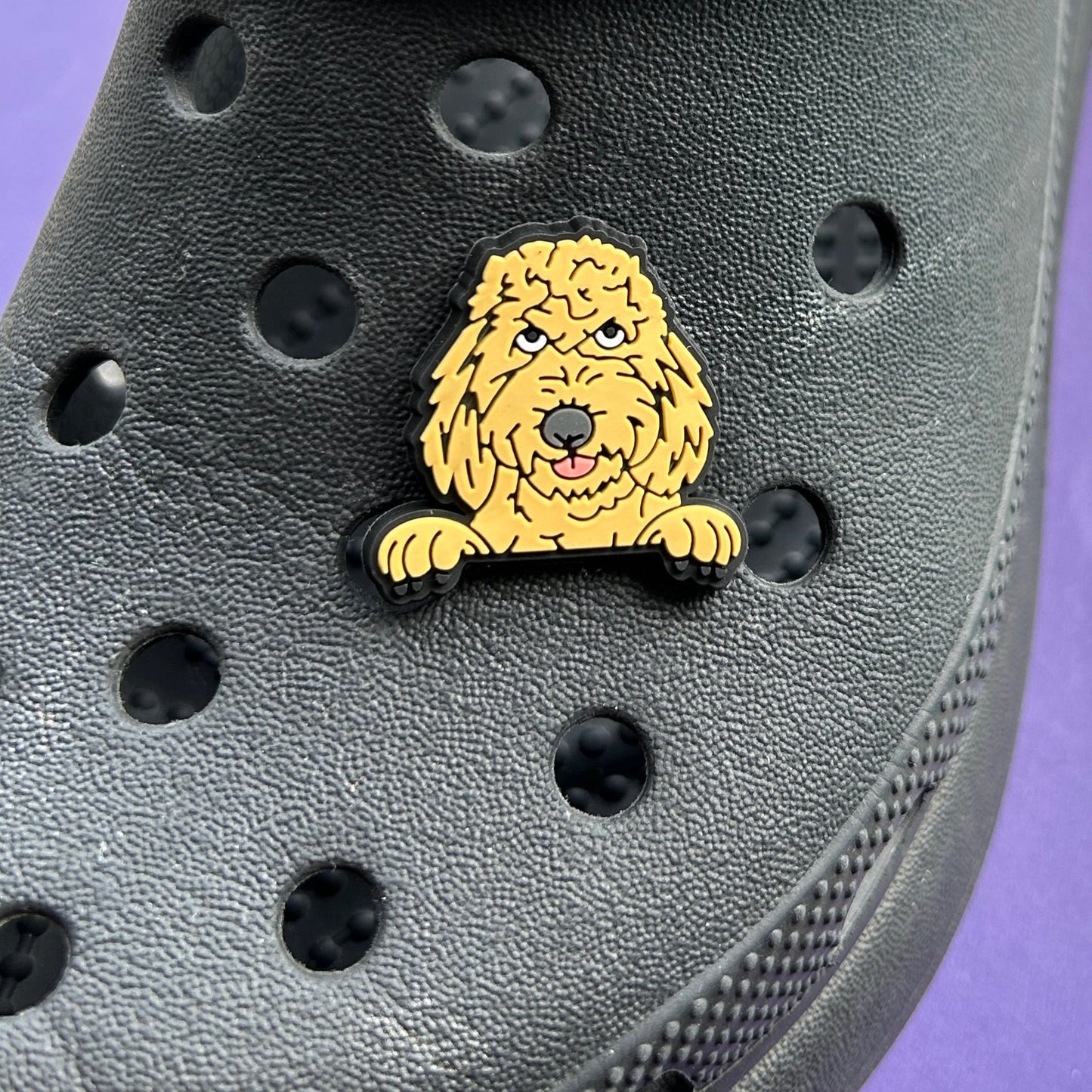 Golden Doodle dog croc charm.