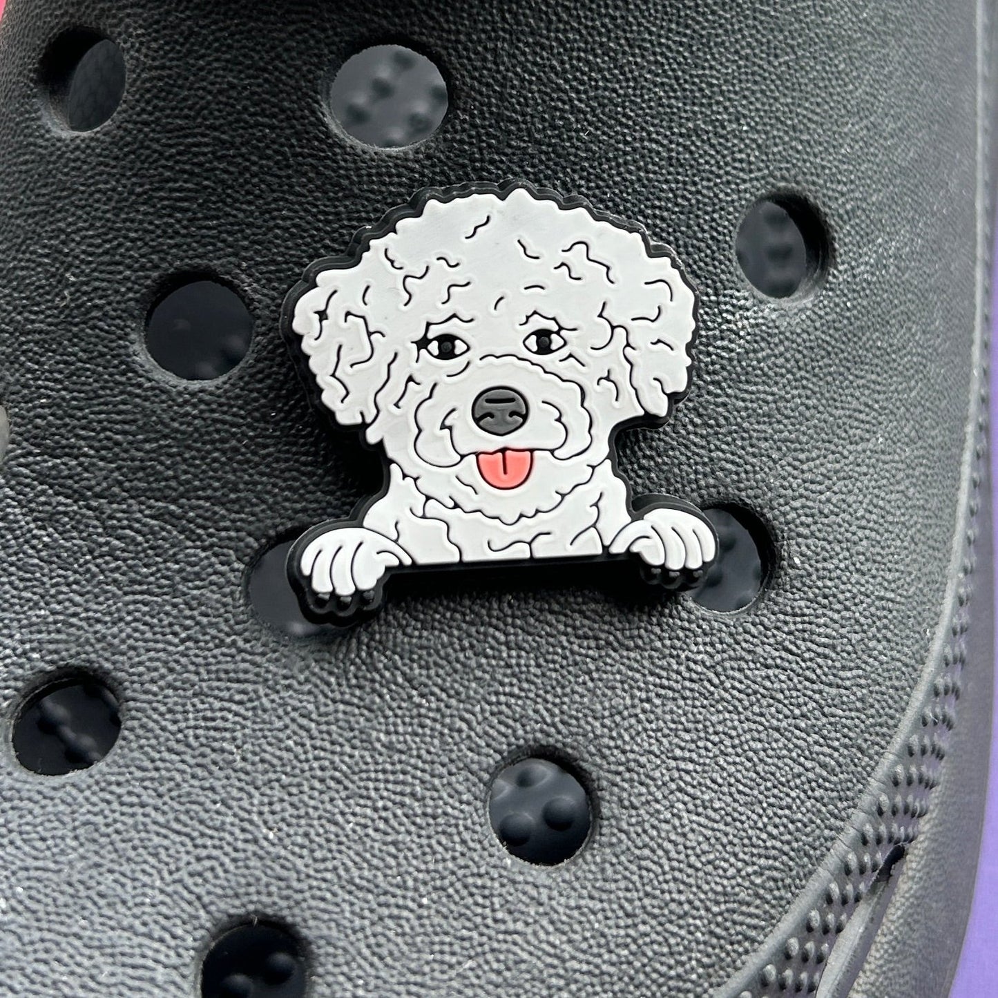 Bichon Frisé dog croc charm.