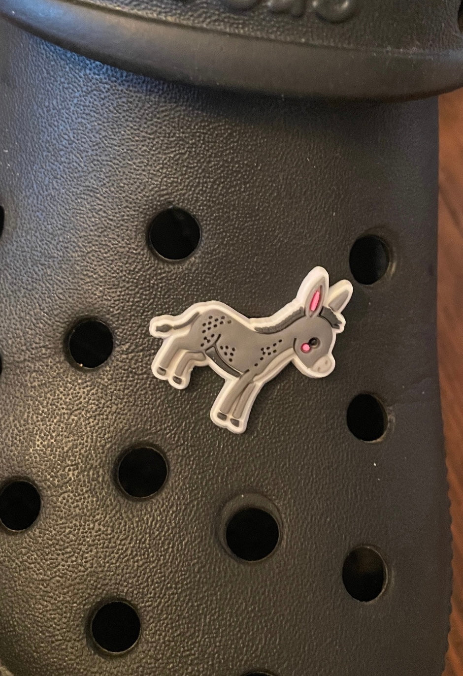 Donkey Shoe Charm on a croc shoe.