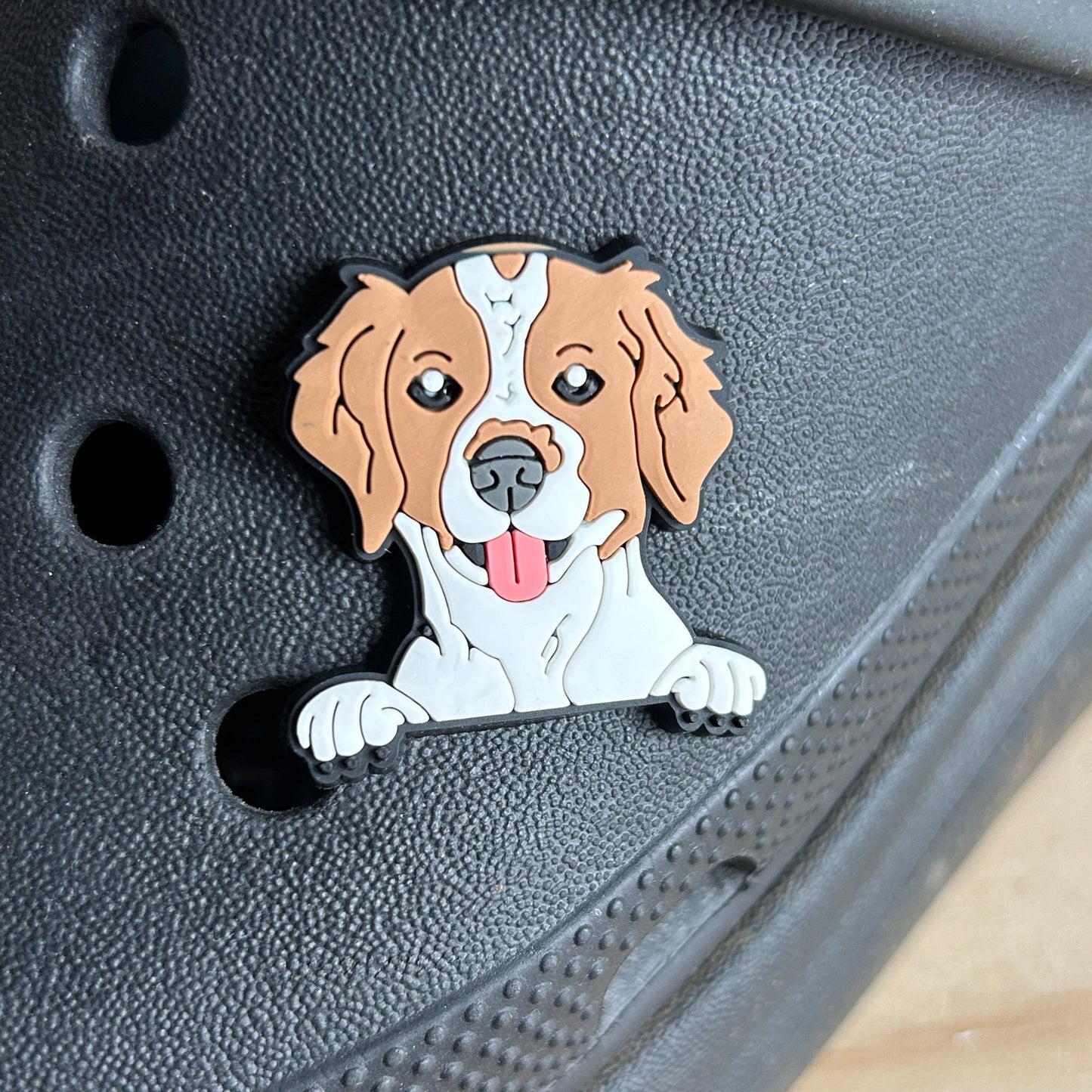 Spaniel Dog - Pet croc like shoe charm. Shown on a black croc shoe.