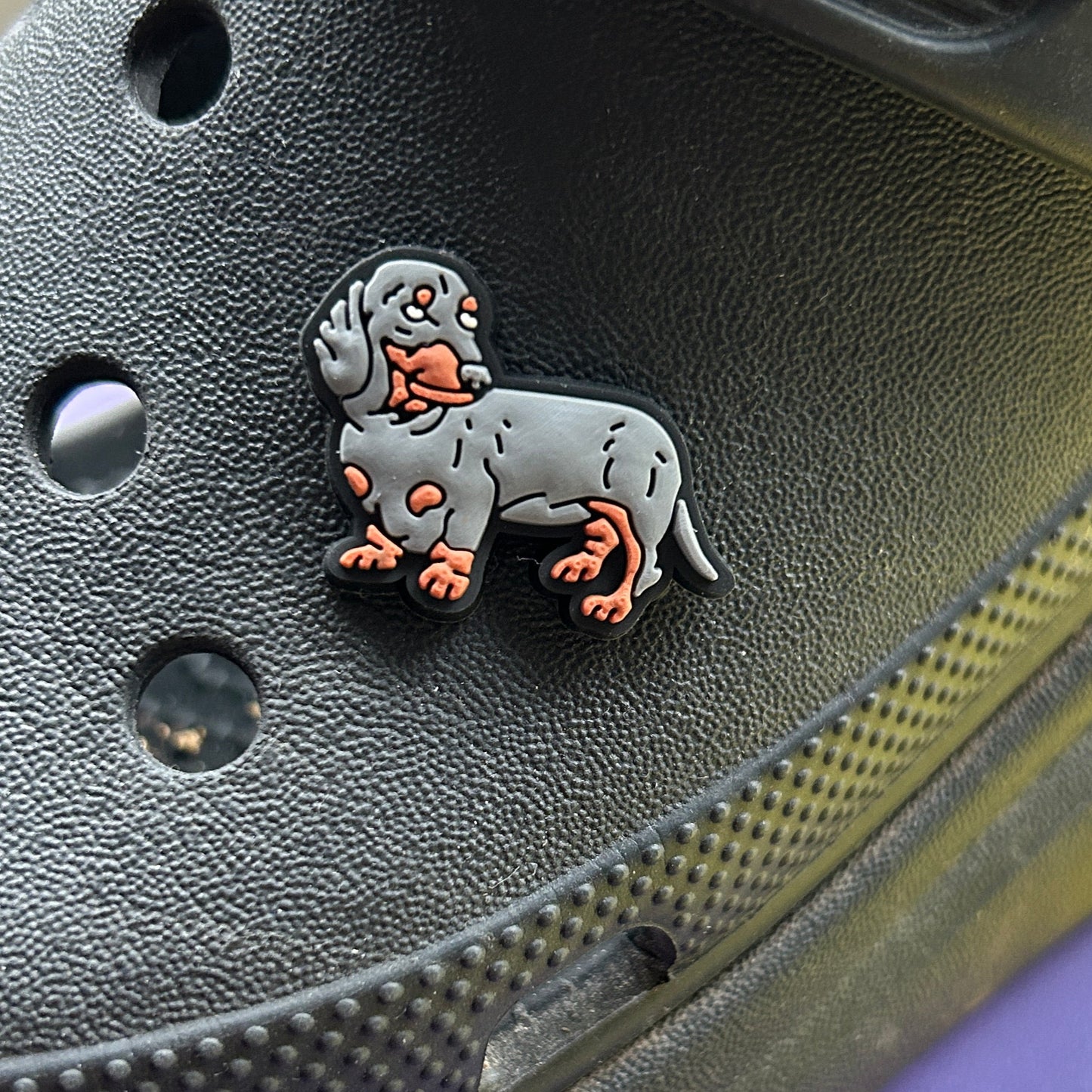 Black and Tan Dachshund Dog croc like shoe charm. Shown on a black croc shoe.