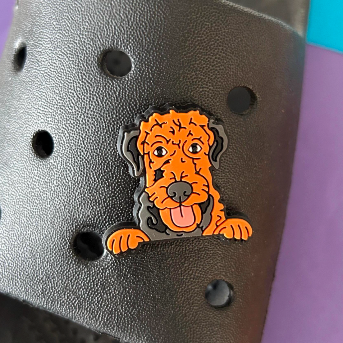 Airedale Terrier Dog croc like shoe charm. Shown on a black croc.