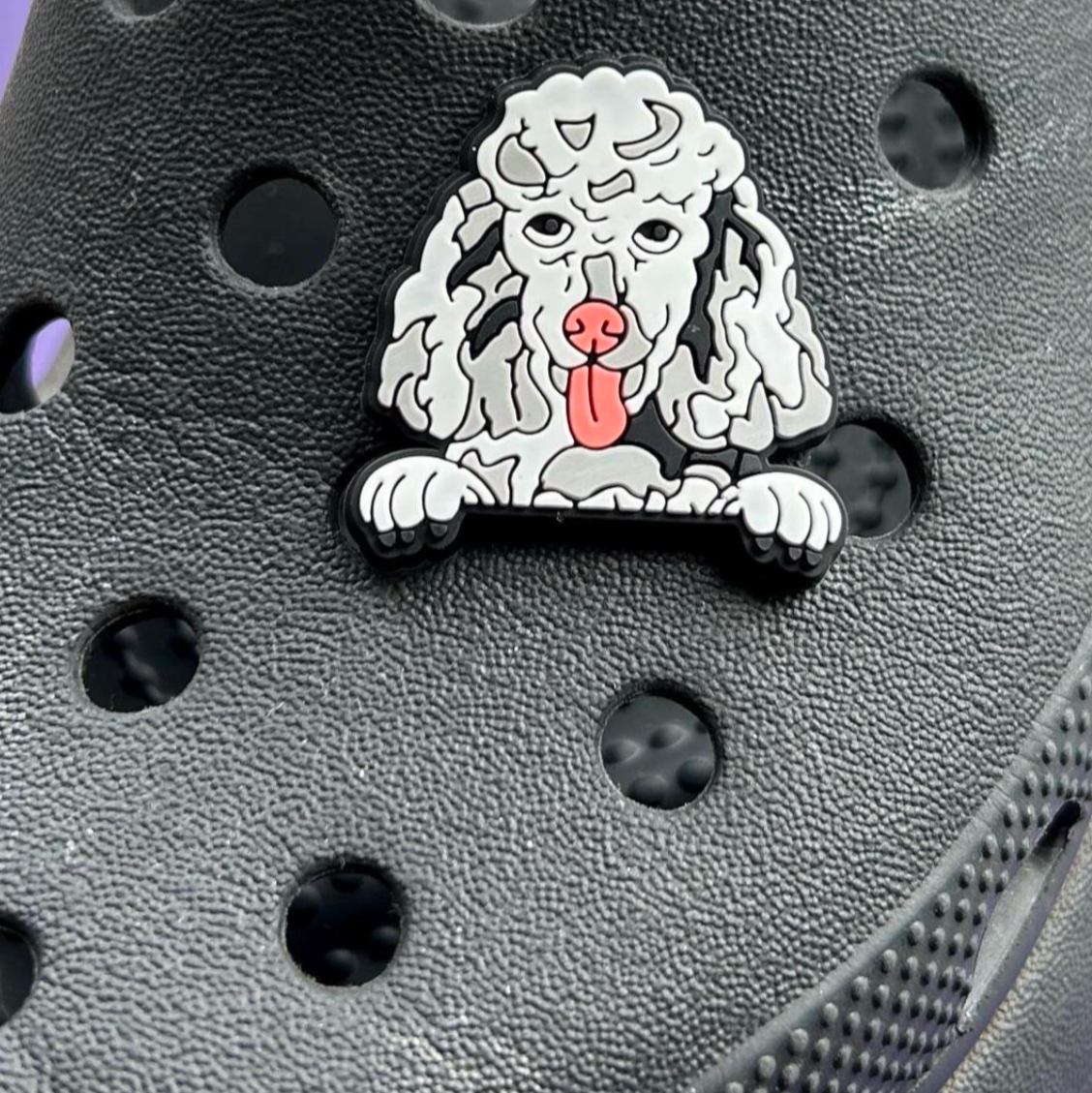Grey and White Poodle dog croc like shoe charm. Shown on a black croc shoe.