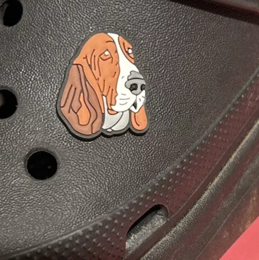 Bassett Hound Face Dog Croc Charm. Shown on a black croc shoe.