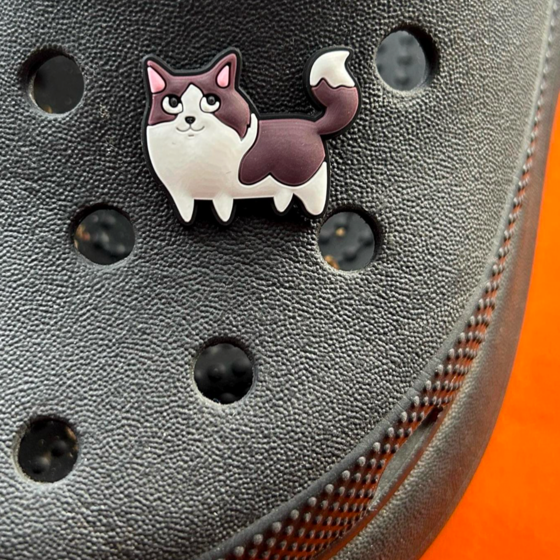 Dark Brown and White Cat croc like shoe charm. Shown on a black croc shoe.
