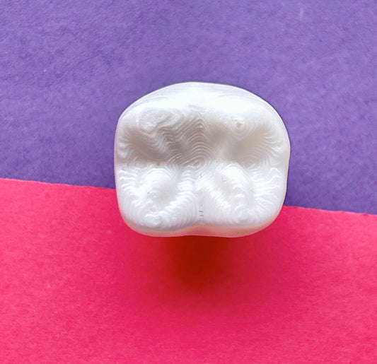 3D printed Molar tooth. 