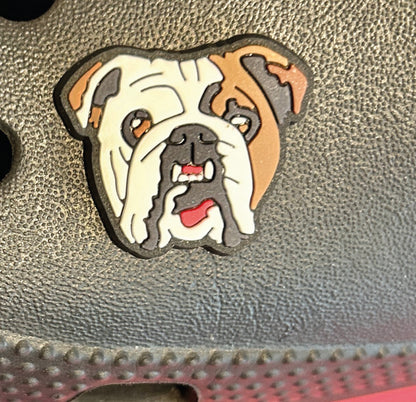 English bulldog croc like shoe charm decoration. Dog.