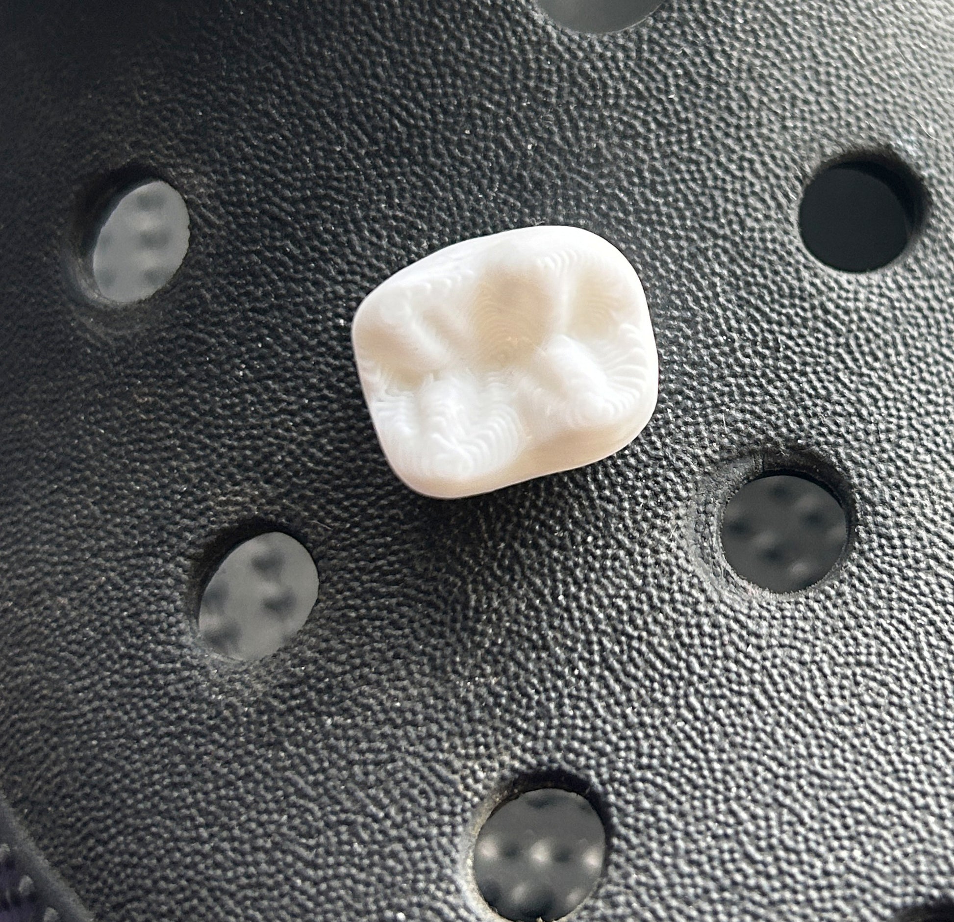 3D printed Molar tooth. White.