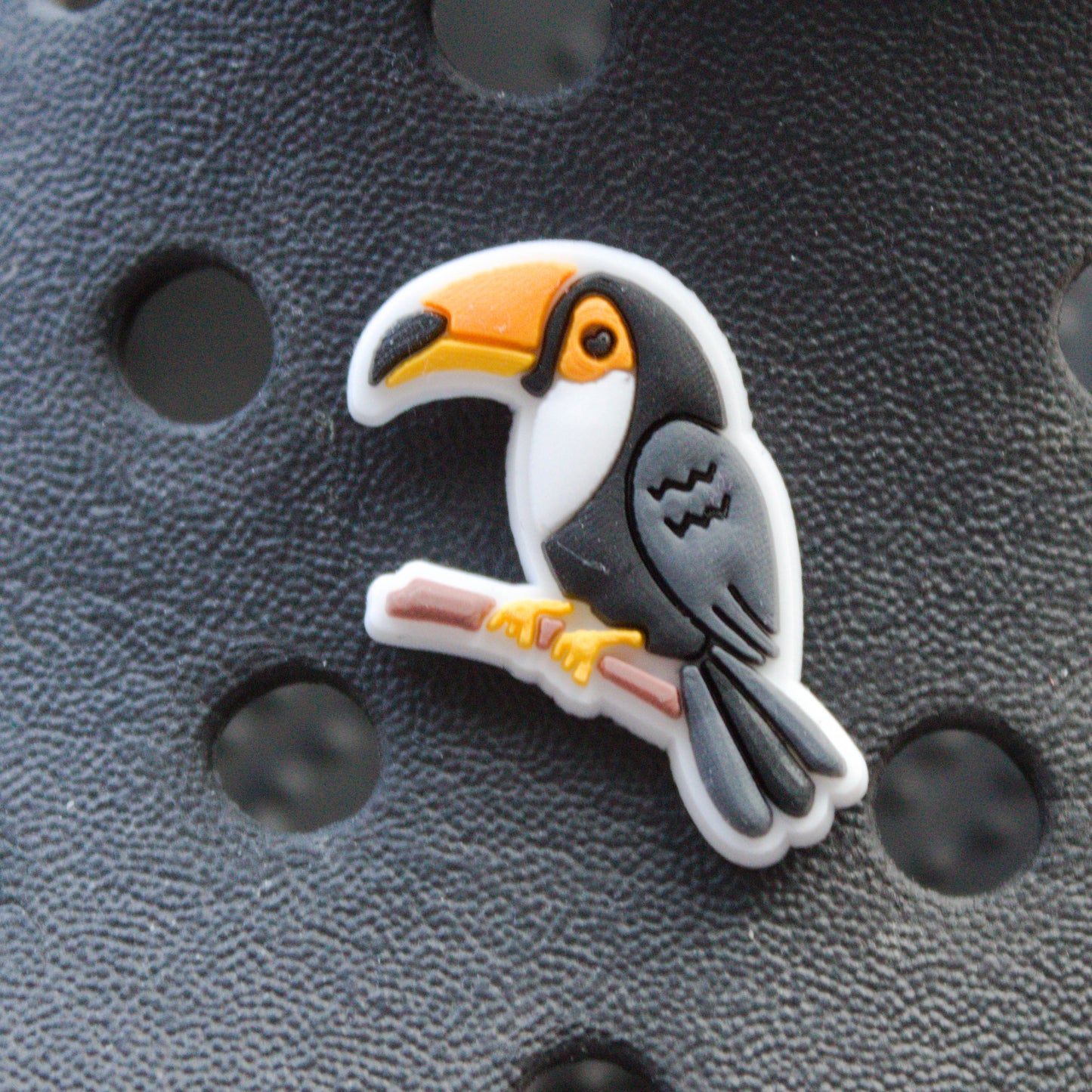 Toucan Bird croc like shoe charm. Shown on a black croc shoe. 