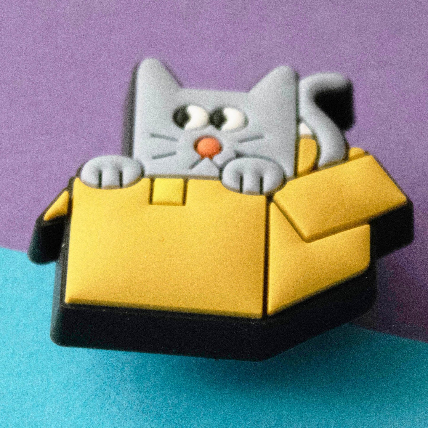 Grey cat in a yellow box croc like shoe charm. Cat looks shifty. Closeup image.