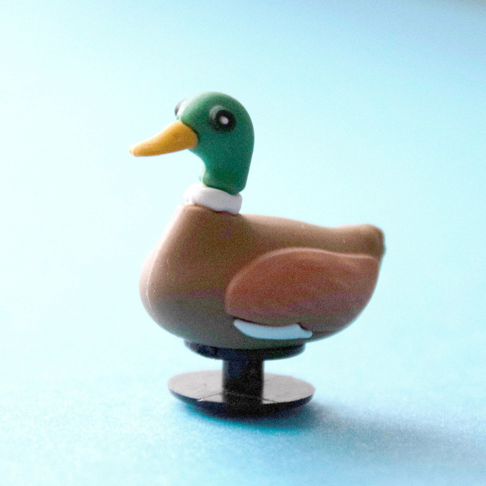 Brown and Green Duck/Mallard 3D, croc like shoe charm. Side view. 