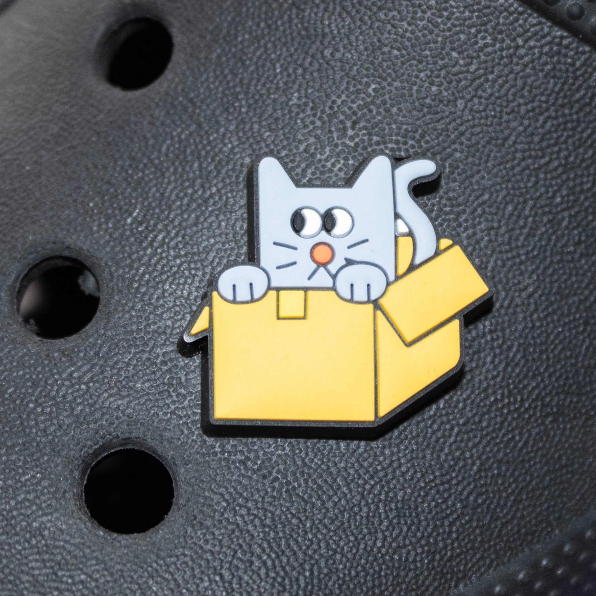 Grey cat in a yellow box croc like shoe charm. Cat looks shifty. Modelled on a black croc shoe. 