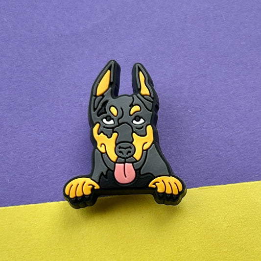 Black and Tan Doberman Dog Croc Charm.