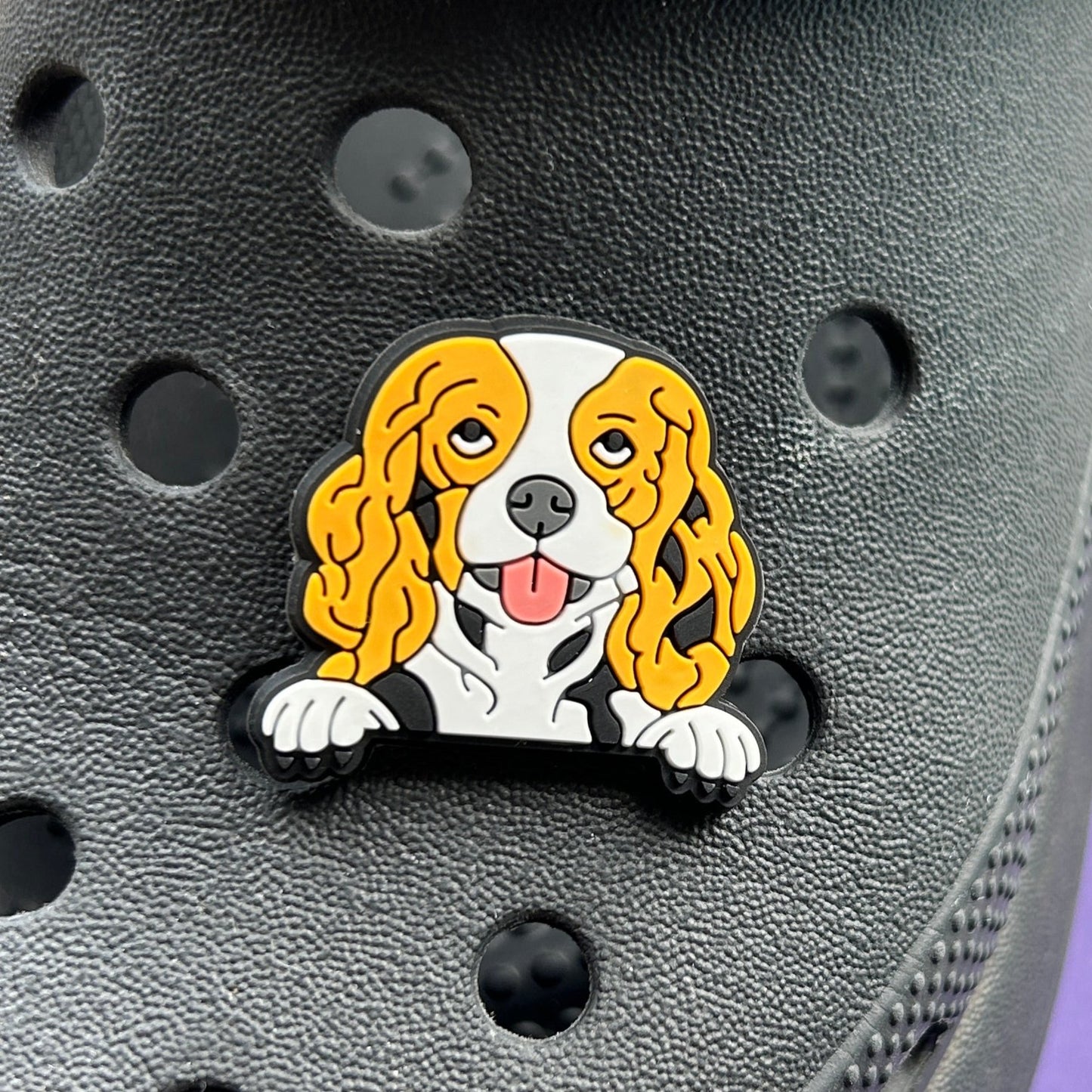 Cavalier King Charles Spaniel Dog Croc Charm.