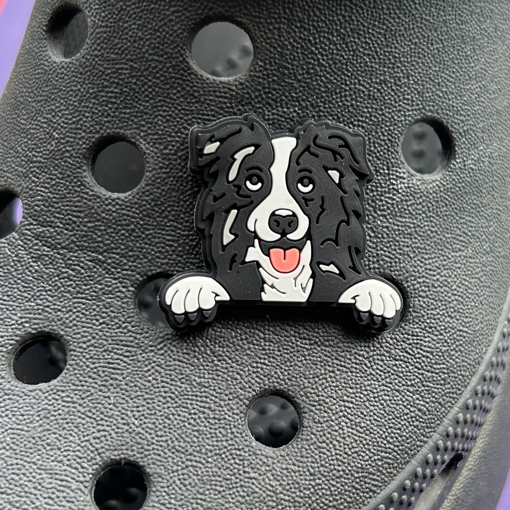 Black and white collie dog on a croc.