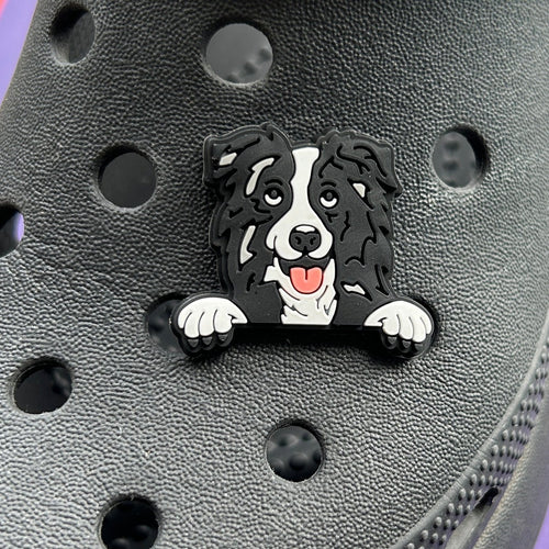 Black and white collie dog on a croc.
