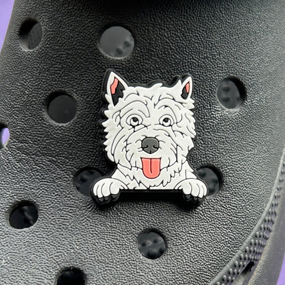 West Highland White Terrier, West on a croc.