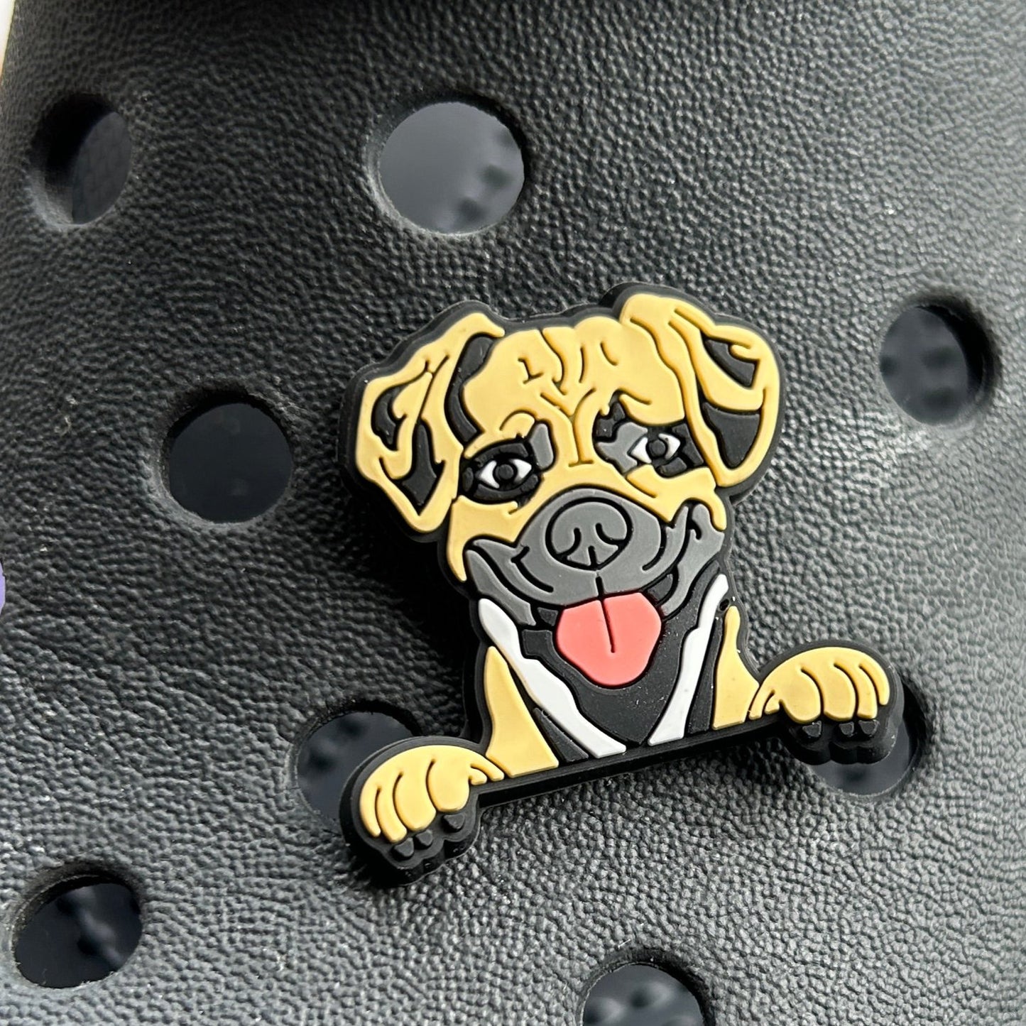 Puggle Dog Croc Charm.