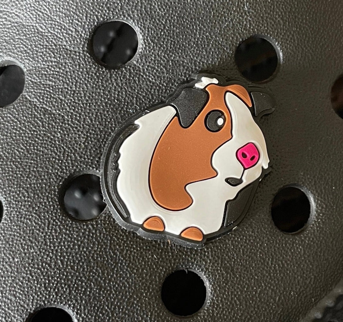 Guinea Pig Shoe Charm on a croc shoe.