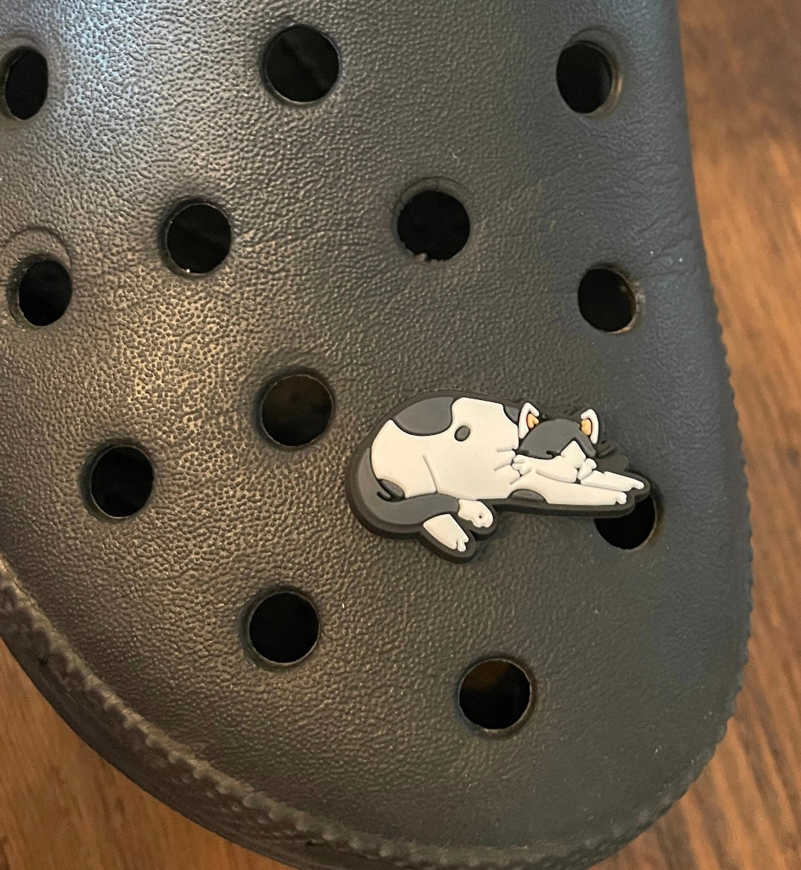 Relaxing Cat Shoe Charm on a croc shoe. 