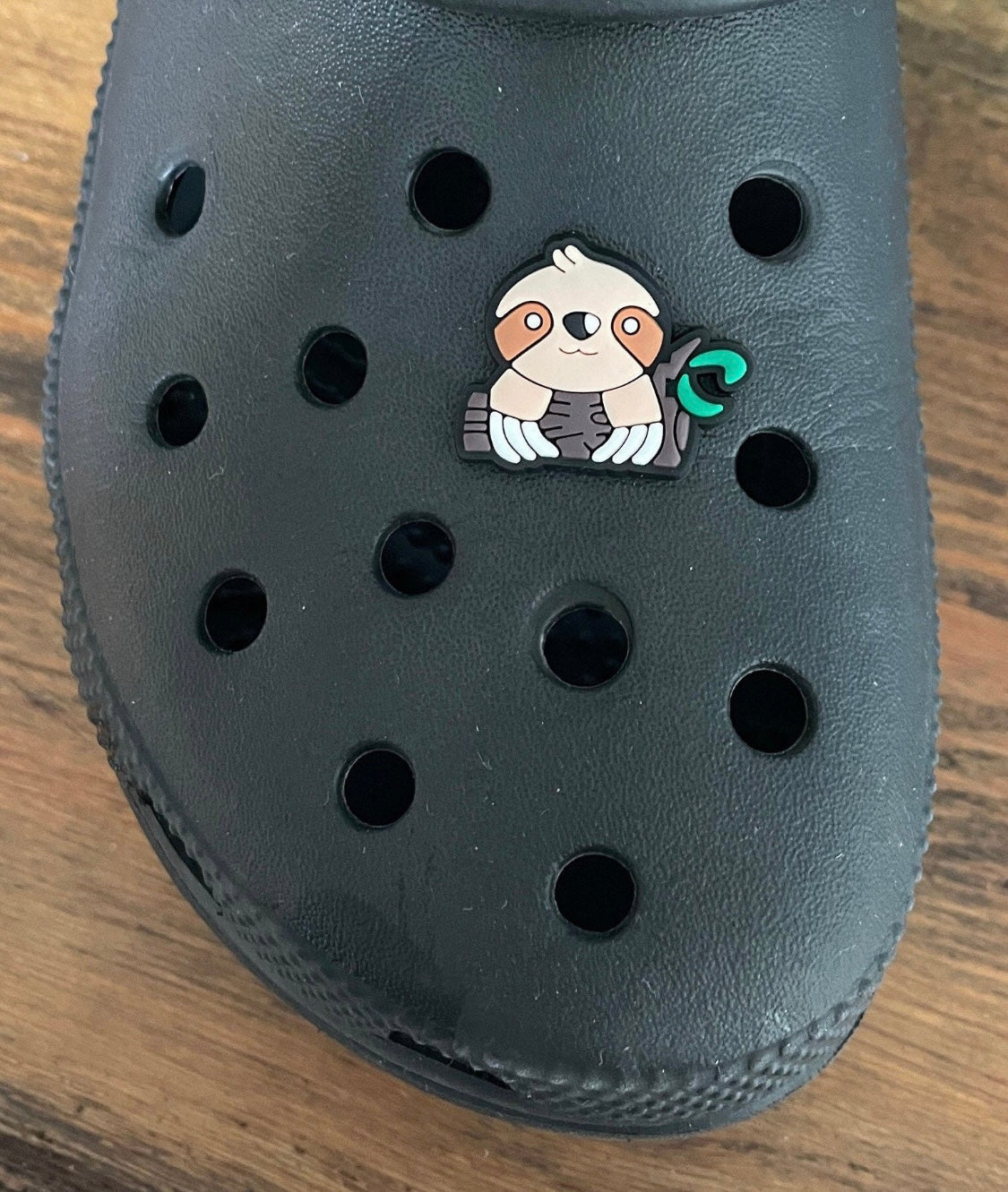 Sloth shoe charm on a log on a croc shoe.