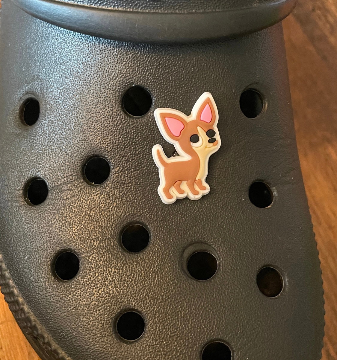 Chihuahua Dog shoe charm on a croc shoe.