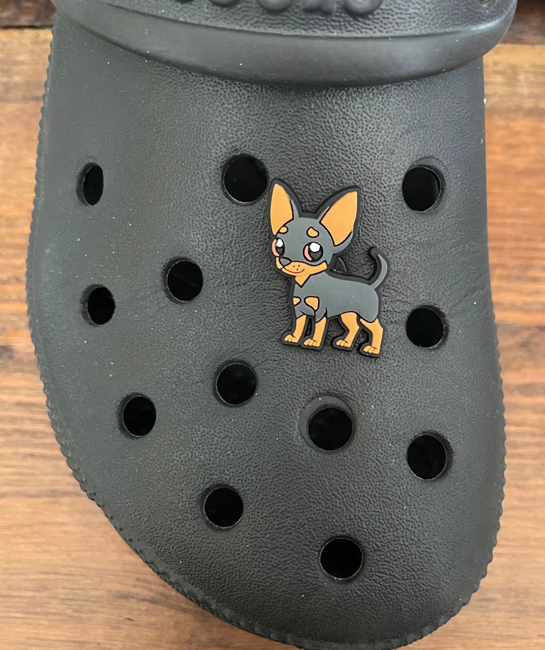 Black and tan chihuahua dog shoe charm on a croc shoe.