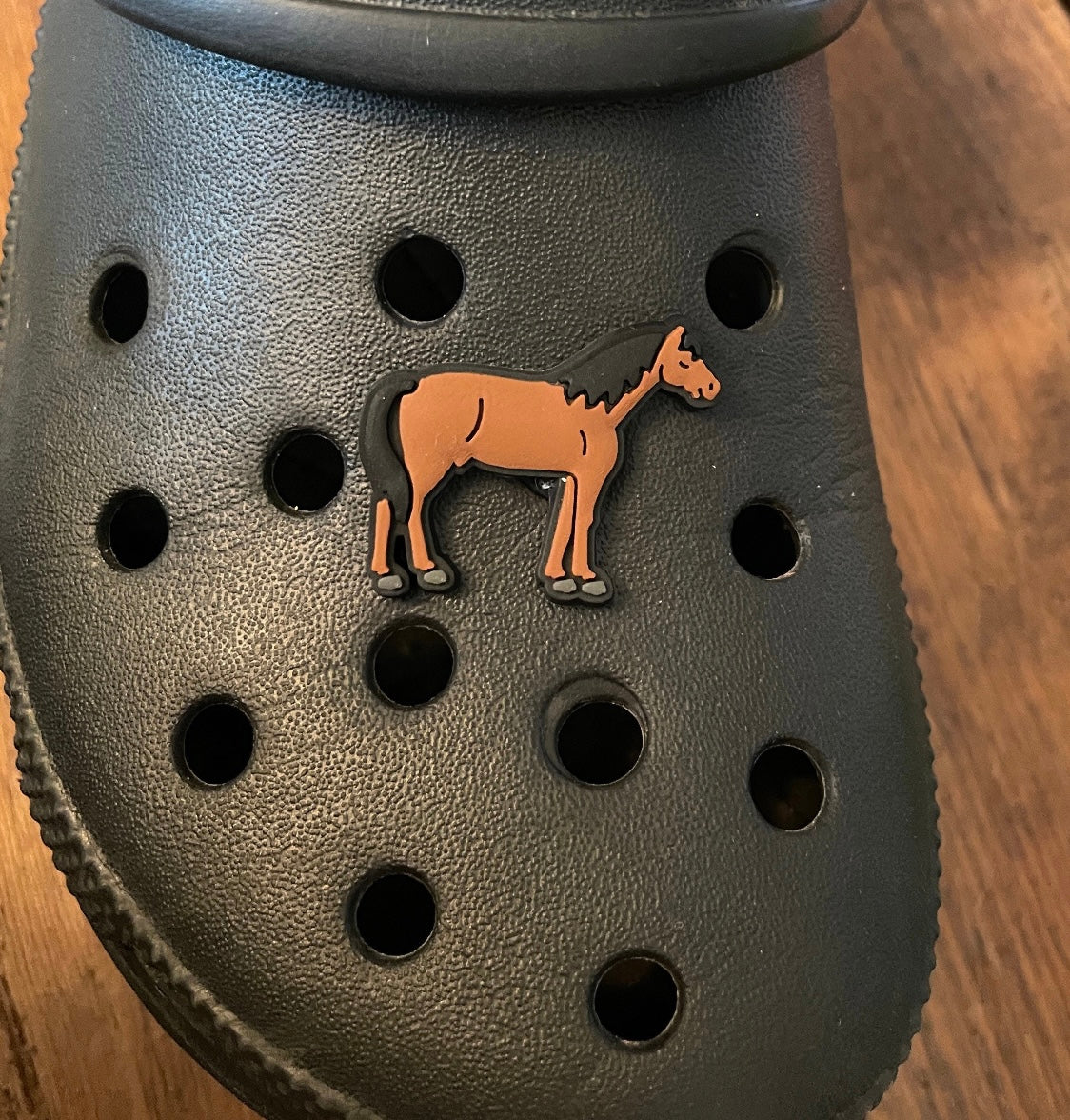 Horse Shoe Charm on a croc shoe.