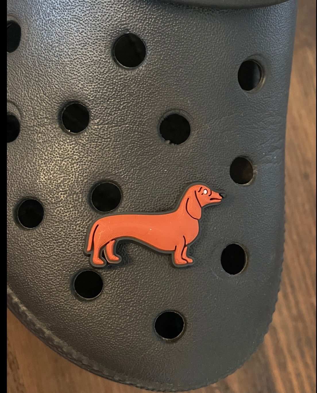 Dachshund Dog Shoe Charm on a croc shoe. 