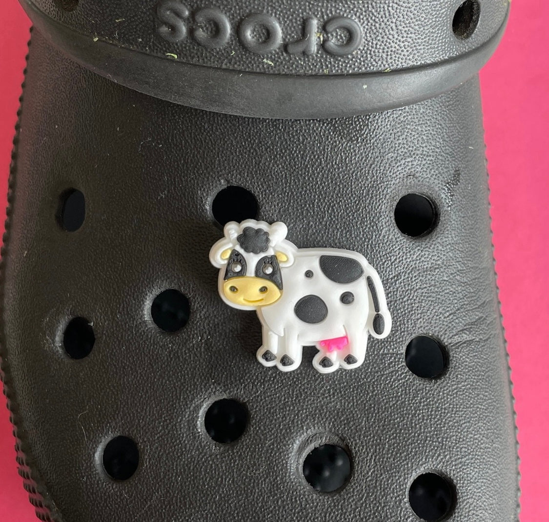 Cow shoe charm on a croc shoe.