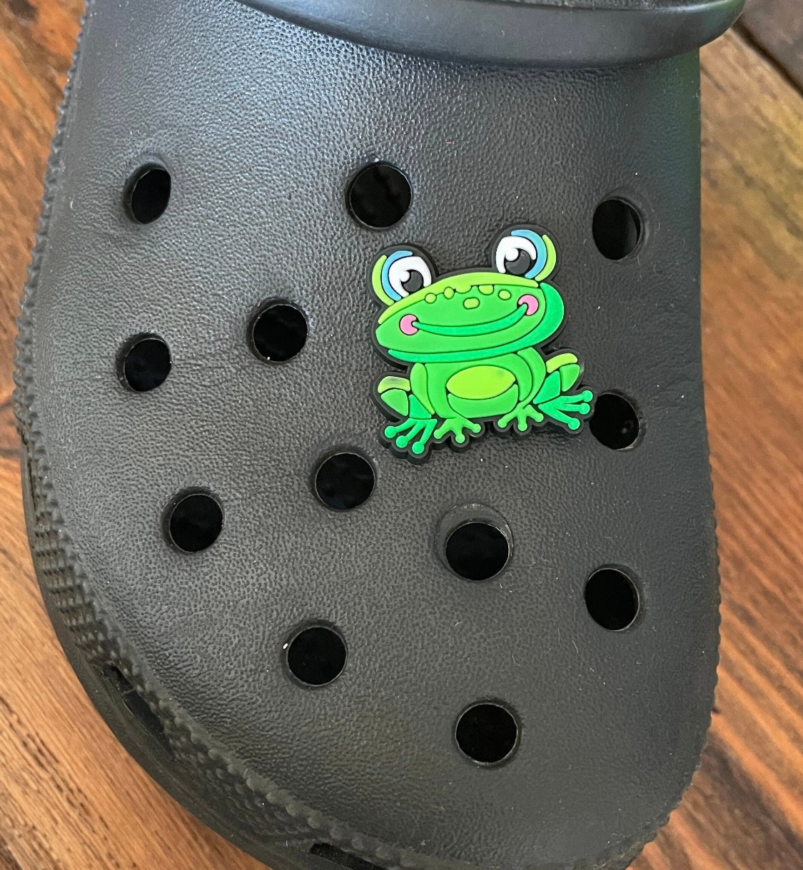 Frog shoe charm on a croc shoe. 