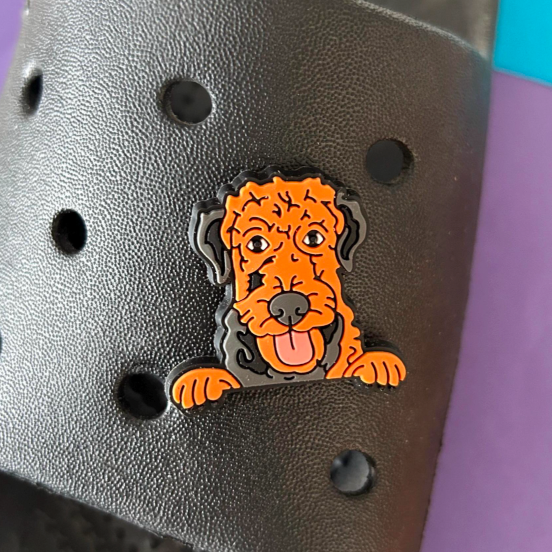 Airedale Terrier Dog croc like shoe charm. Shown on a black croc. 