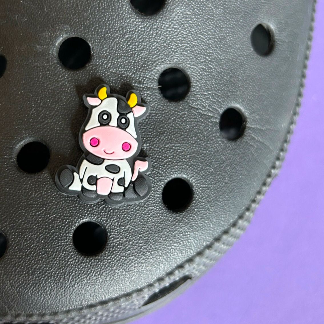 Cute Cow croc like shoe charm. Shown on a black croc shoe. 