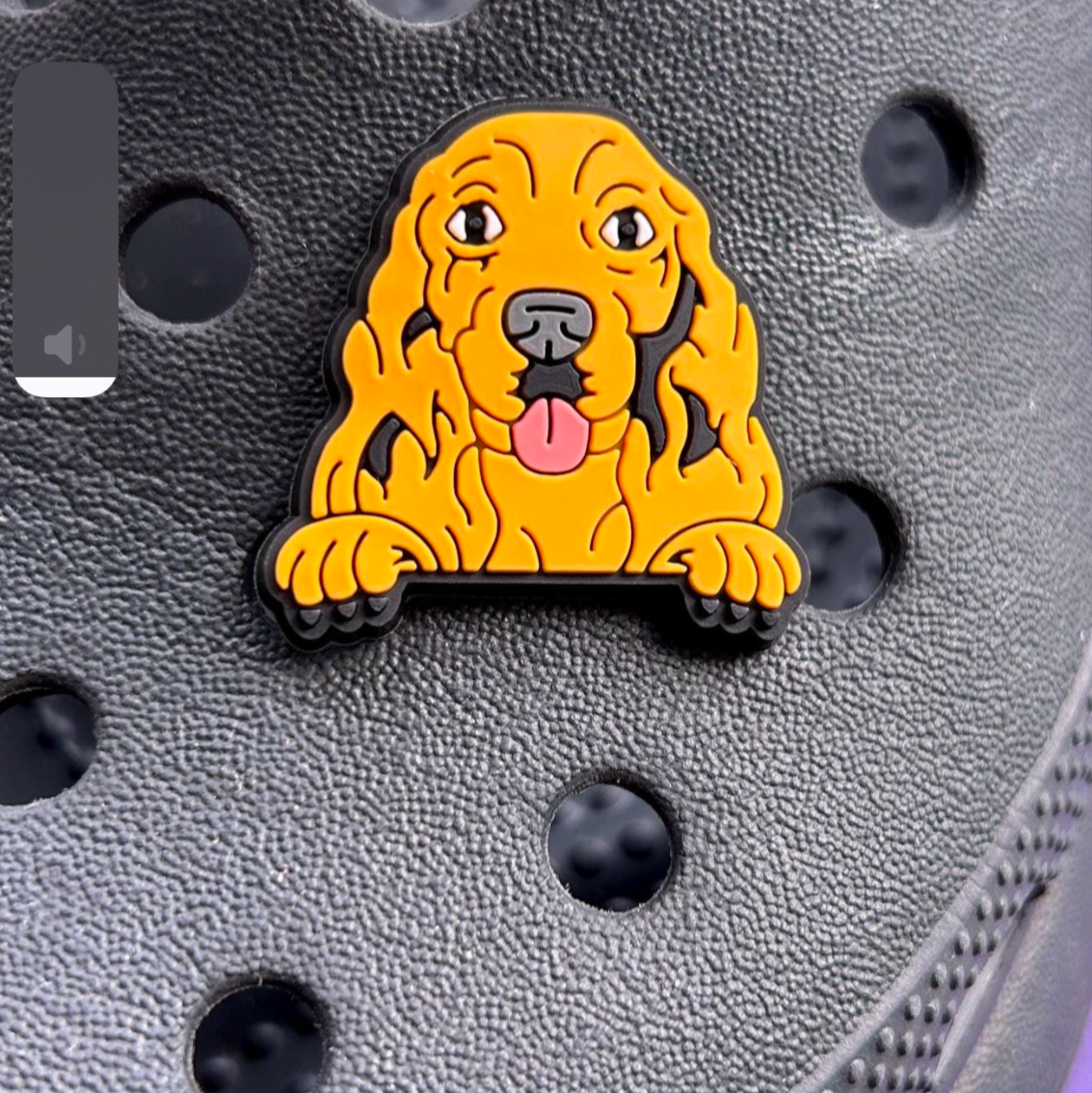 Cocker Spaniel Dog Face croc like shoe charm. Shoes on a black croc shoe. 