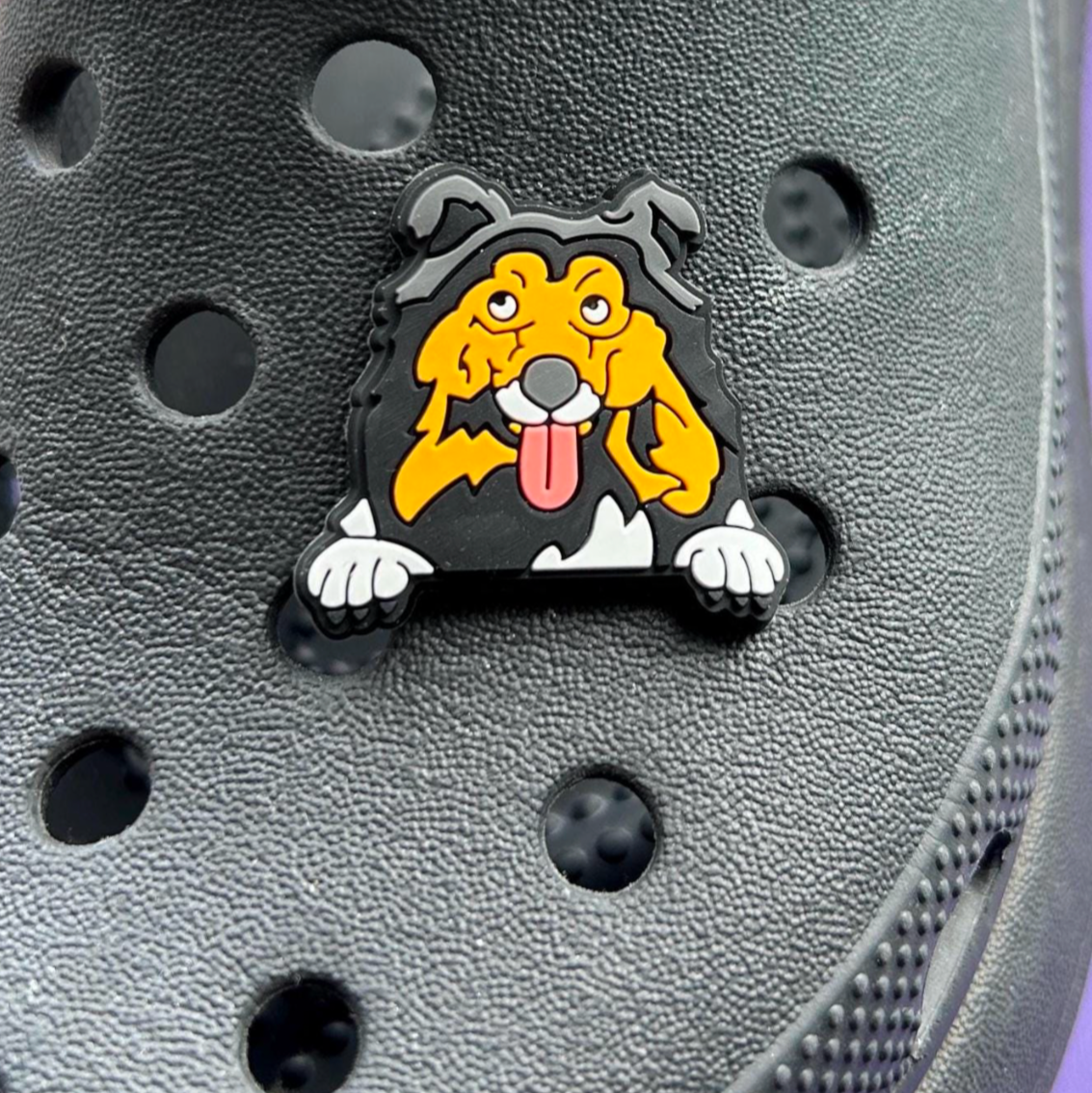 Collie Dog croc like shoe charm. Black, tan and White. Shown on a black croc shoe.