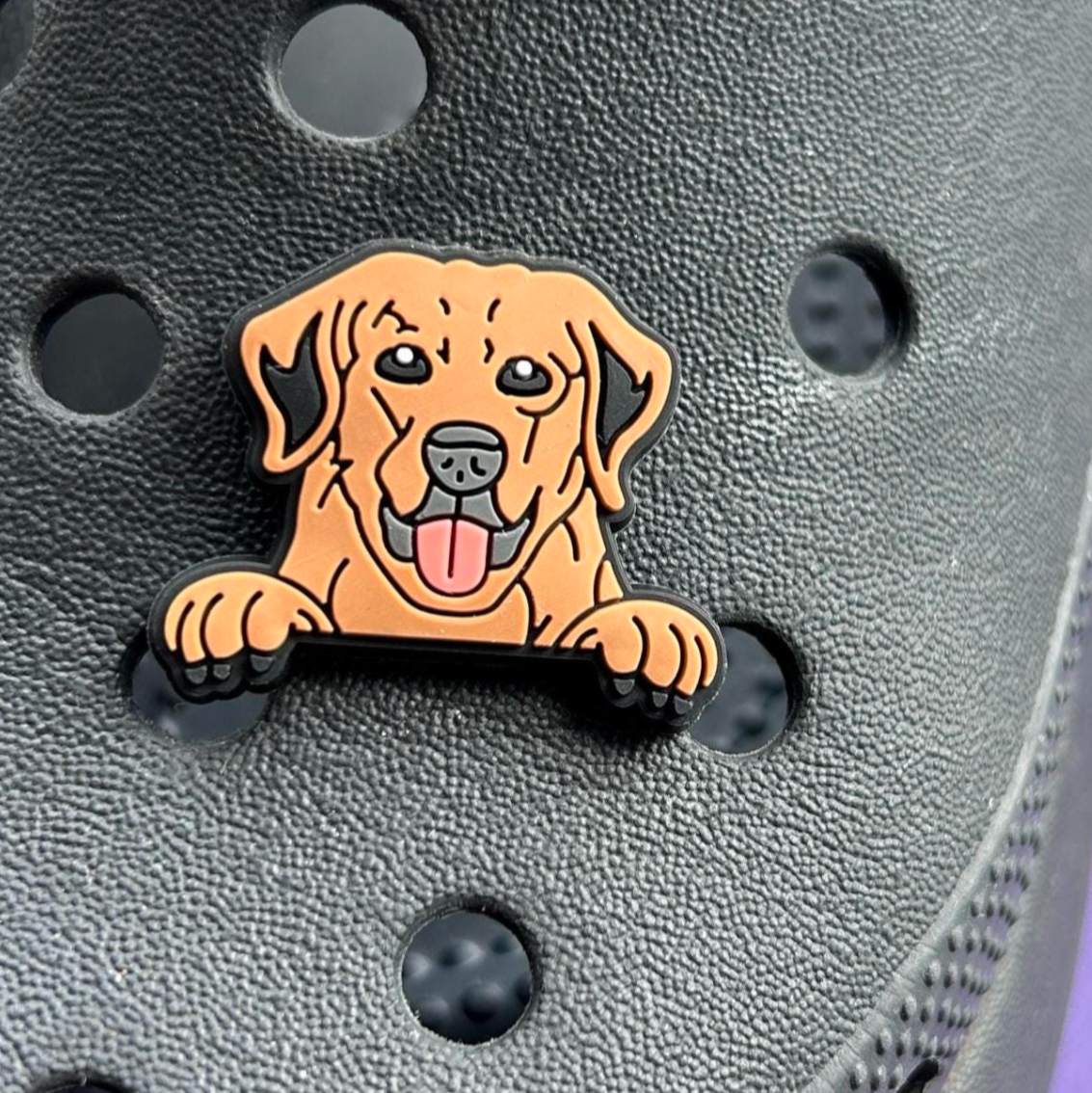 Golden Retriever Dog croc like shoe charm. Shown on a black croc shoe.