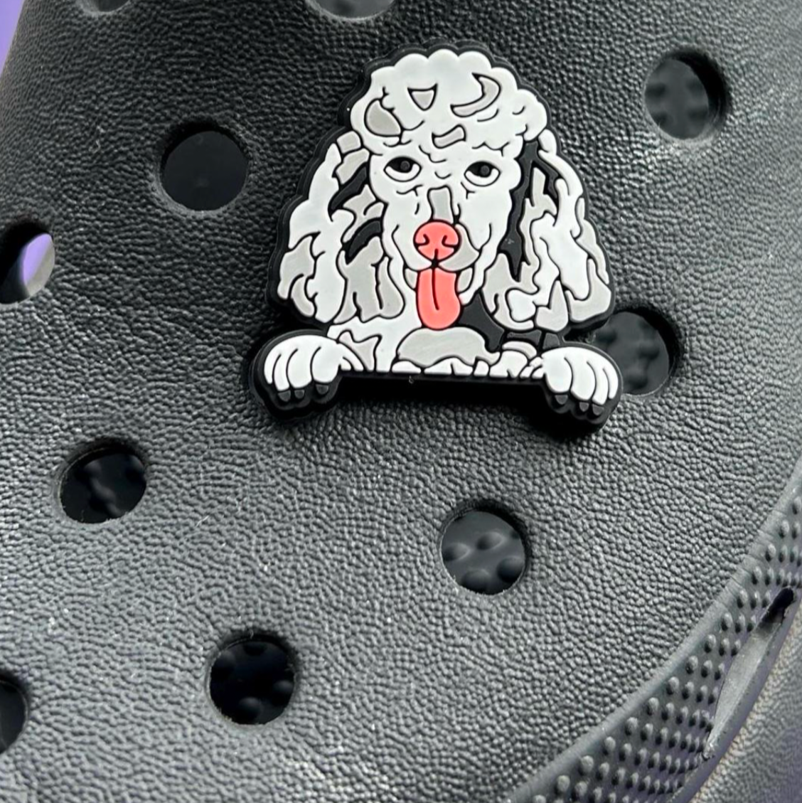 Grey and White Poodle dog croc like shoe charm. Shown on a black croc shoe. 