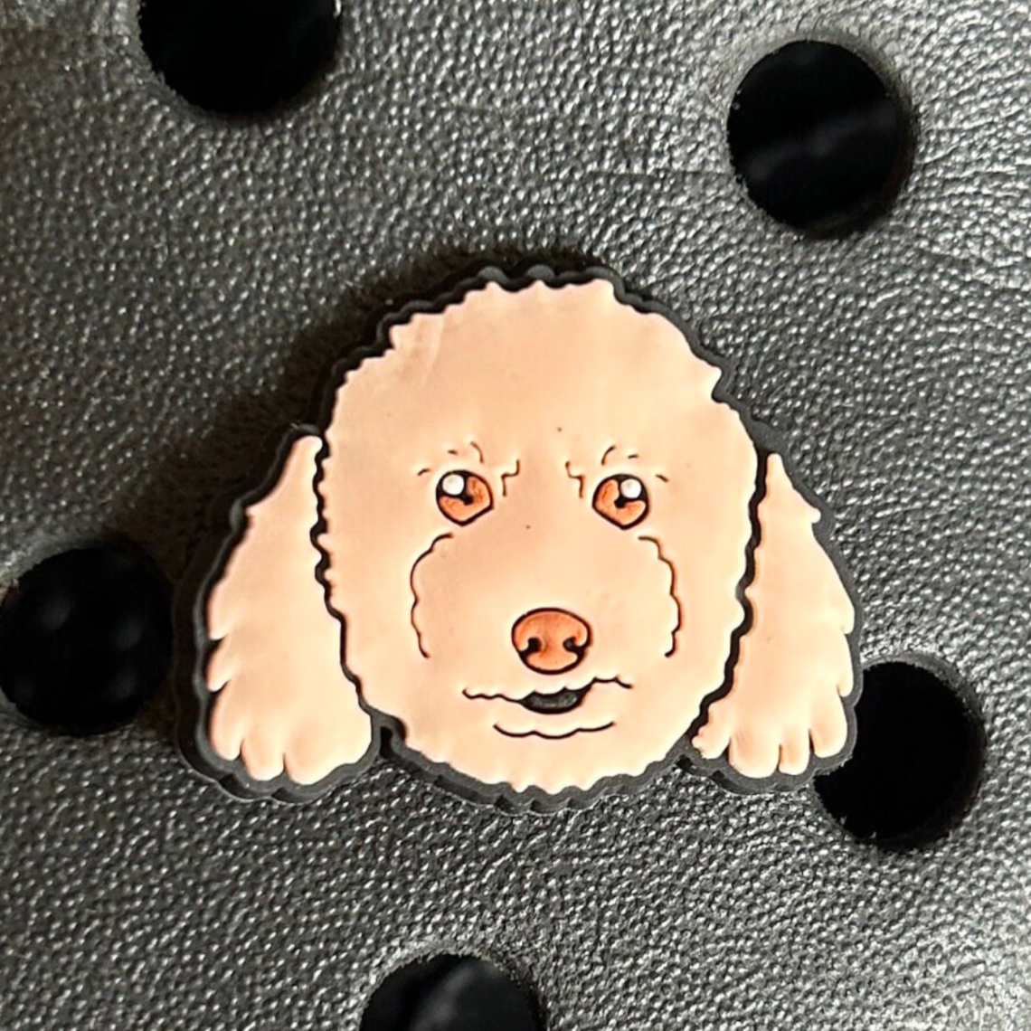 Cream poodle dog croc like shoe charm. Shown on a black croc shoe. 