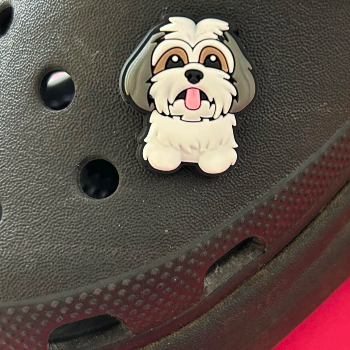 Shih Tzu dog pet croc like shoe charm. Shown on a black croc shoe.