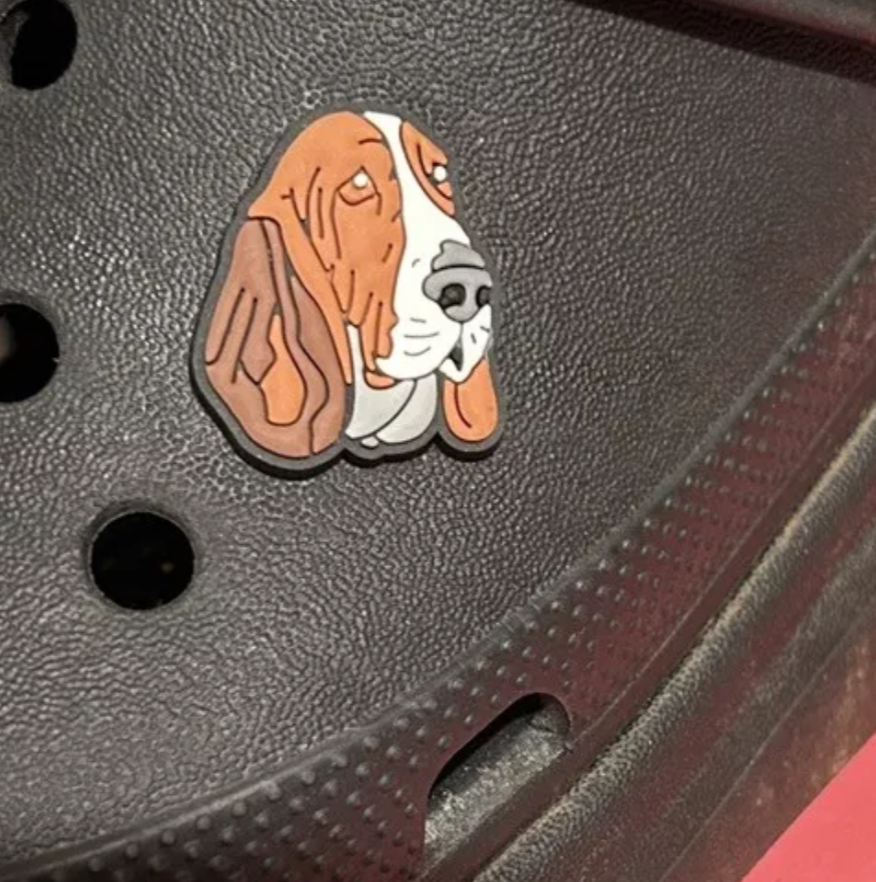 Bassett Hound Face Dog Croc Charm. Shown on a black croc shoe. 