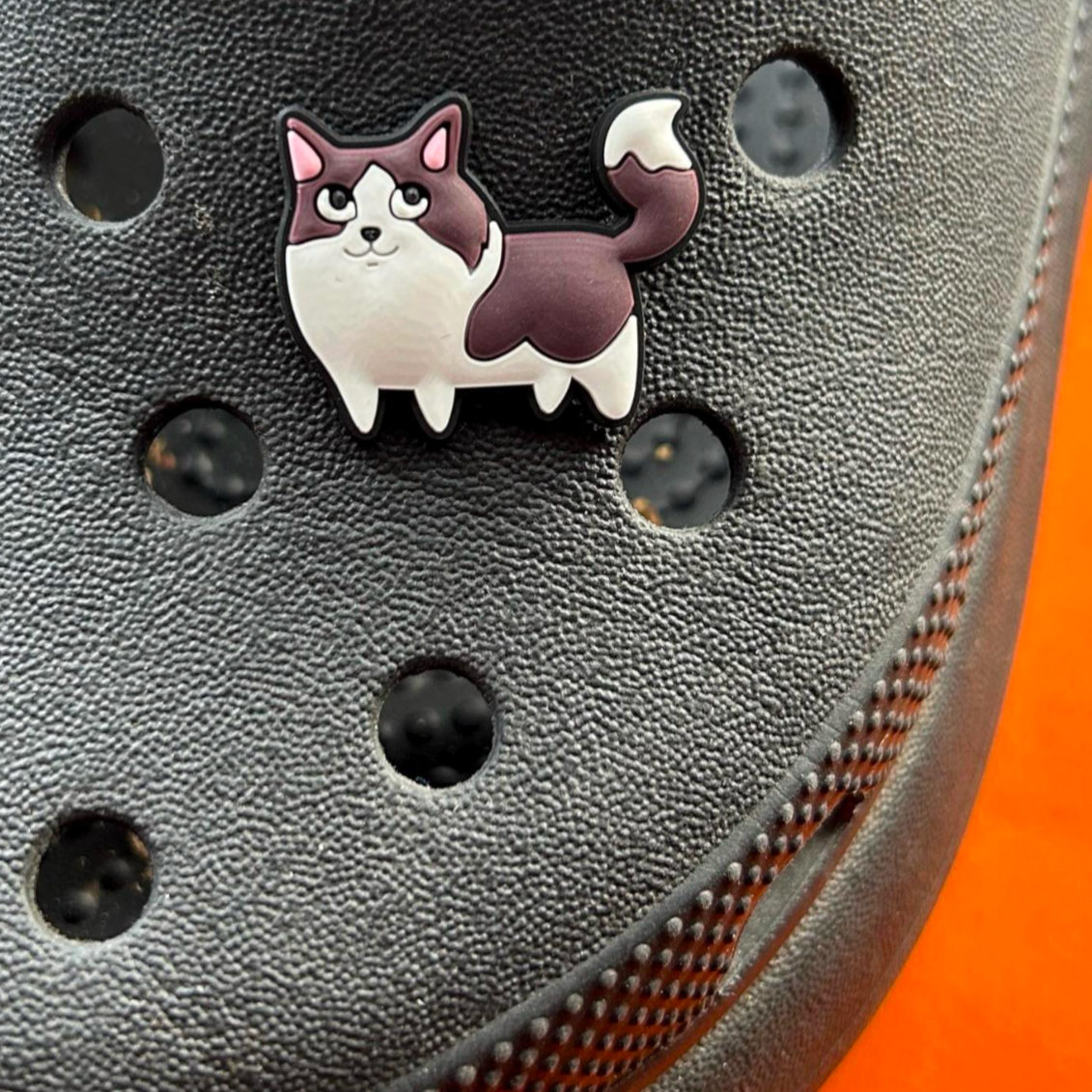 Dark Brown and White Cat croc like shoe charm. Shown on a black croc shoe. 