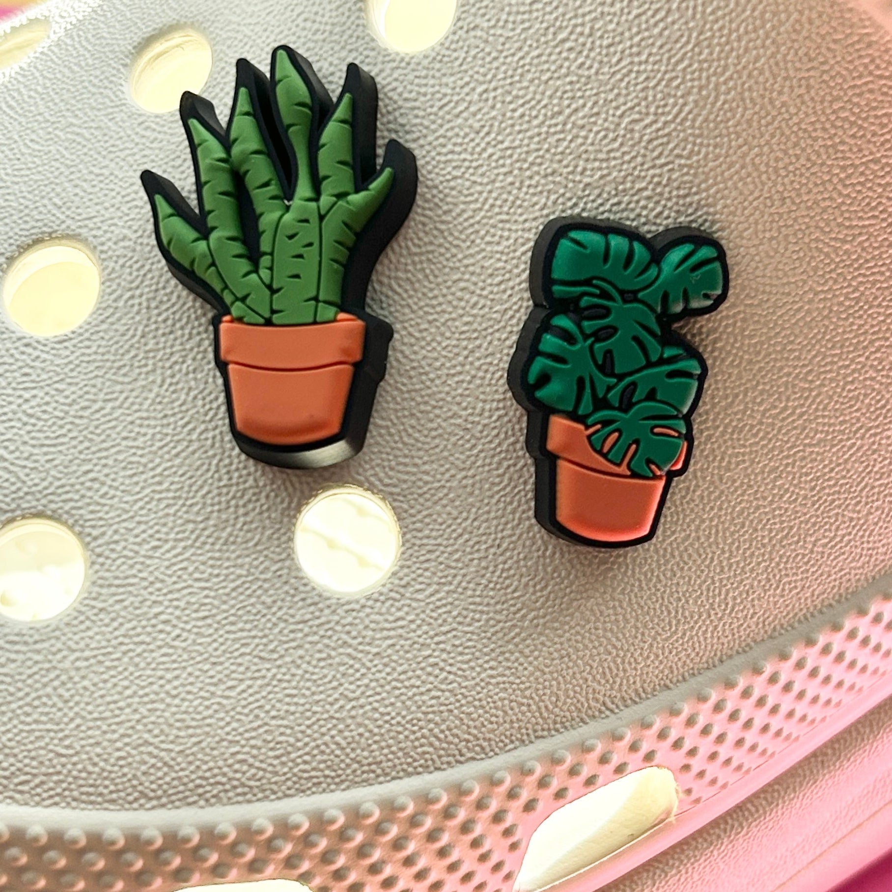 Snake plant croc shoe charm. Green plant in an orange plant pot. Shown on a cream croc shoe. 