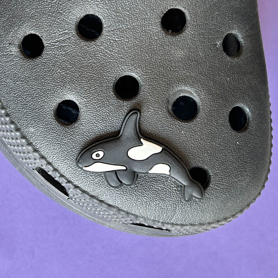 Killer Whale Orca Shoe Charm on a croc shoe.