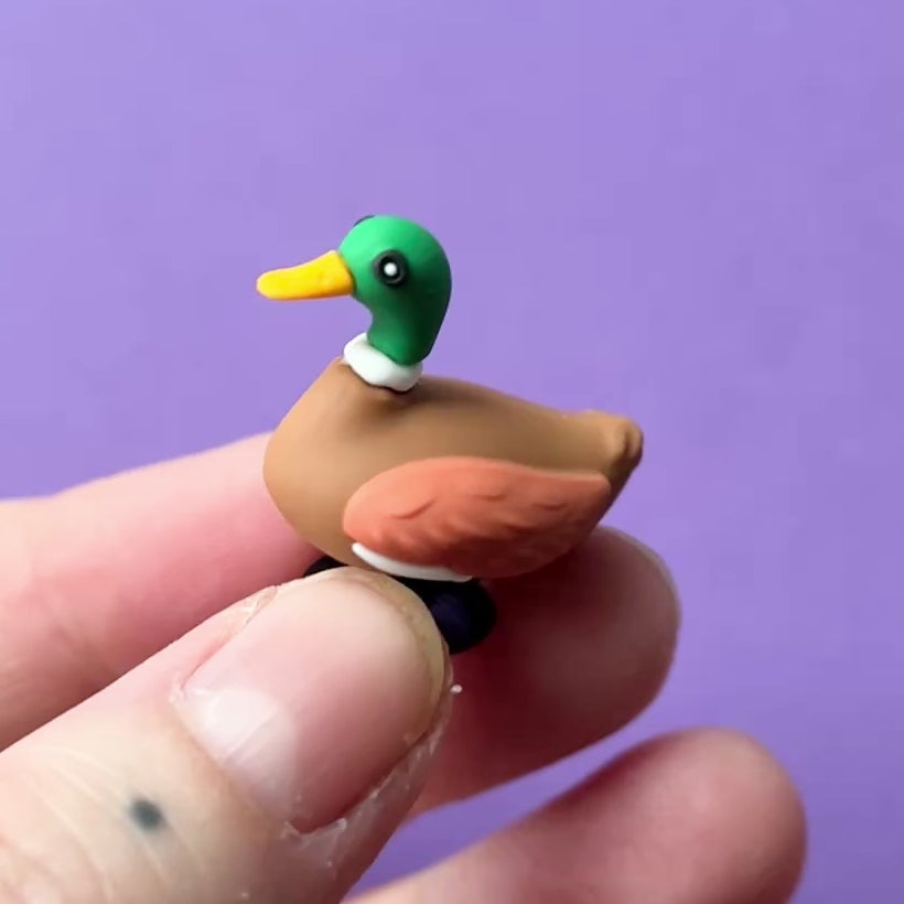 Short movie for the brown and green Duck/Mallard 3D, croc like shoe charm. 