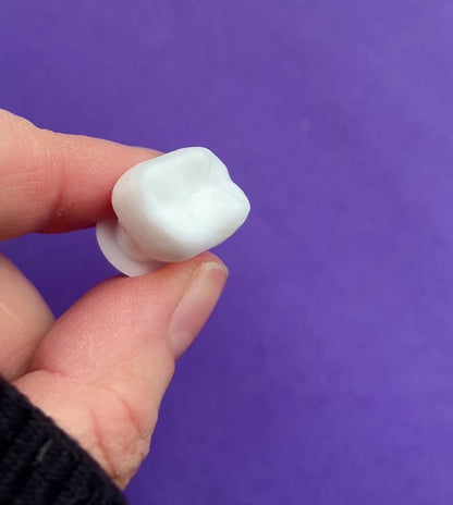 Video showing 3D printed molar.
